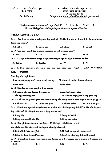 Đề kiểm tra cuối học kì 2 môn Hóa học 10 - Sở GD&ĐT Bắc Ninh 2023-2024 (Có đáp án)