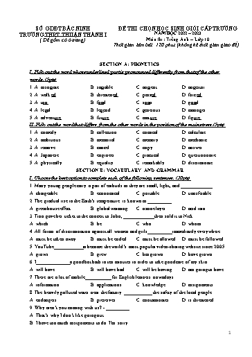 Đề thi chọn HSG cấp trường môn Tiếng Anh 10 - Trường THPT Thuận Thành số 1 2022-2023 (Có đáp án)