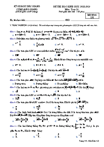 Đề thi chọn HSG môn Toán 10 cụm Lạng Giang - Sở GD&ĐT Bắc Giang 2018-2019 (Có đáp án)